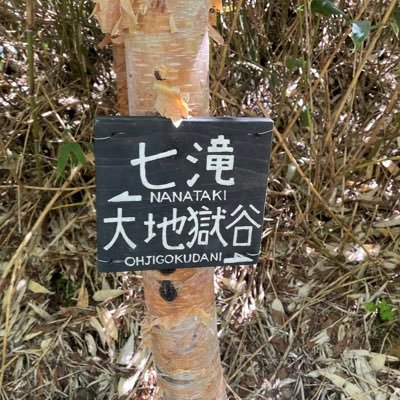 盛岡を中心につぶやきます。