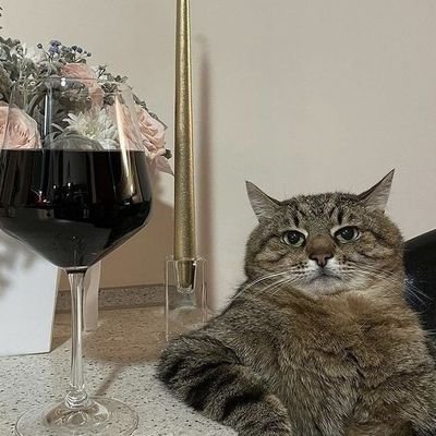 tatianaeSilva's profile picture. 