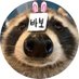 너굴리 (@racoon_01) Twitter profile photo 너굴리 (@racoon_01) Twitter profile photo