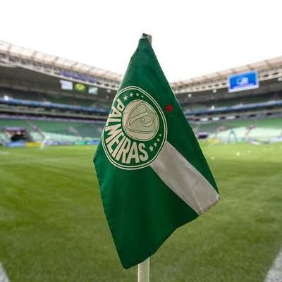 Palmeiras Minha Vida é Você!💚🐷🏆