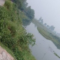 Tahsin Mahmud (@tahsin6465) 's Twitter Profile