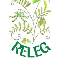 RELEG (@releg_2023) 's Twitter Profile Photo