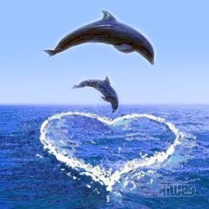 parker79090's profile picture. 