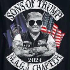4Billy_Jack's profile picture. America First, Ultra Mega MAGA.."Never argue with stupid people, they will drag you down to their level and then beat you with experience" Mark Twain. 🚫🚂🚫DMs