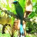 Informativo #HeraldoDelNorte #Antioquia #Colombia (@soydeituango) Twitter profile photo Informativo #HeraldoDelNorte #Antioquia #Colombia (@soydeituango) Twitter profile photo
