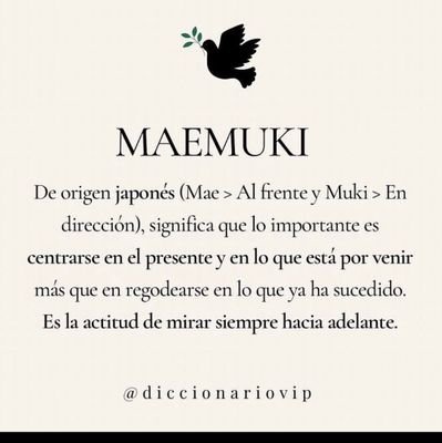 DV. García
• Lectora empedernida 📖
• Proyecto de escritora ✍🏼
• Experta en hacer todo...y a veces, mal 🧘🏽♀️