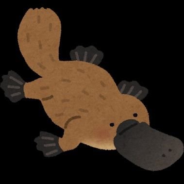 KKamonohasi Profile Picture