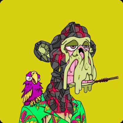 introversion_pi's profile picture. Security engineer  Burlington #crypto #nonfungibletokens #nftgiveaway