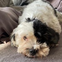 Tatjana Hergaden (@thergaden) 's Twitter Profile