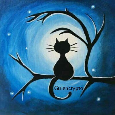 GulenCrypto Profile Picture