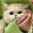 samiionn's profile image
