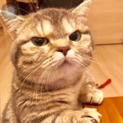 CholisMarzuki's profile picture. semua hanya titipan. Sedang berjualan di harbourstore_00 Suka kuliner , suka guyon , suka kucing