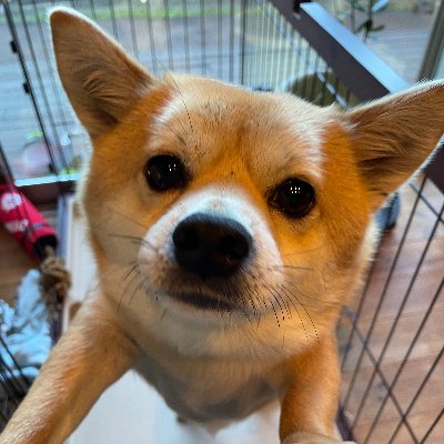元投資銀行マン。20年ほどIBを経験した後、個人投資家に転身。日記感覚でカビュウにて投資成果や反省文をポスト。ブログでは、PO/IPOなどを投資銀行や発行会社側の視点で解説記事を書いています。記事を気に入っていただけたら、「いいね」或いは「拡散」していただけると喜ぶ40代のおっさんです。よろしくお願いします🙇