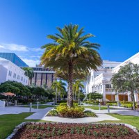 Miami Hematology Oncology Program Director (@hemoncmiami) 's Twitter Profile Photo Miami Hematology Oncology Program Director (@hemoncmiami) 's Twitter Profile Photo
