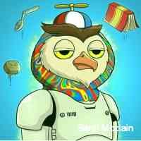 saraimcclainn's profile picture. Collectingdigitalartisthebesthobbyever.