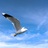 alexxa1101's profile image