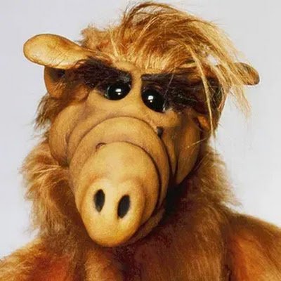 Alfred1555's profile picture. 