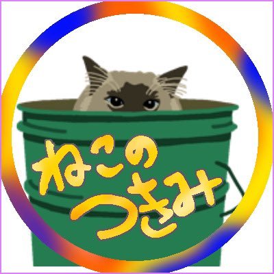 愛とはネコさま、ネコさまこそが愛でしょう!世界中のネコちゃんが快適で愛されて過ごせますように😼✨ ウチノ4天使♡つきみ→マイペースモフモフ/はなみ→ベッタリ麦わら/りっか→面白美白の家野良/なぎ→末っ子キジトラ男子