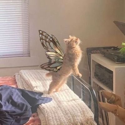 privnicj_'s profile picture. ubra mayo, skwela mayo, mayo nnaise