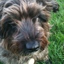 Terri Ferris - @DobbyMckay - Twitter