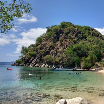 themumugwada's profile picture. 