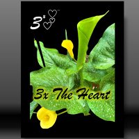 3x The Heart(@3xTheHeart1) 's Twitter Profile Photo