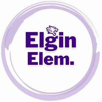 EIgin Elementary Changes Lives