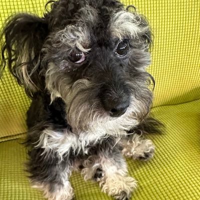 BeckySm85827688's profile picture. 