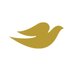 Dove (@dove) Twitter profile photo