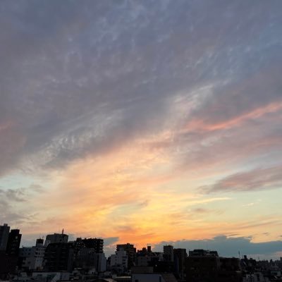 18歳/下顎前突/顎変形症治療始めたばかり 無言フォロー失礼します。 初診→精密検査→診断→抜歯予約→抜歯 おそらくルフォーとssro 現在治療中断中