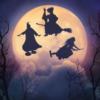 movieguy11a's profile picture. 