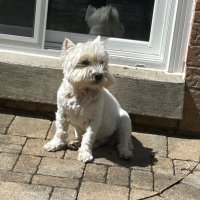 Matthew (@m4tthew91) 's Twitter Profile