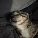 Carter Bowles - @CarterBowles4 - Twitter