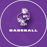 Niagara Baseball(@NiagaraBASE) 's Twitter Profile Photo