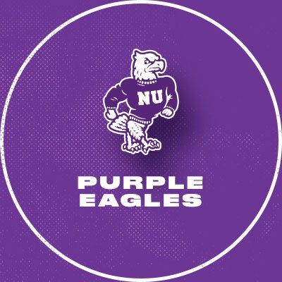 The official Twitter account of Niagara University Athletics. #EaglesTakeFlight