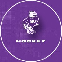Niagara University Men's Hockey(@NiagaraMHKY) 's Twitter Profile Photo