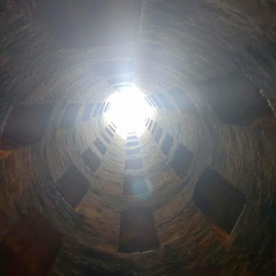 MyriadOfTruthss's profile picture. 