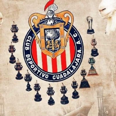 simplemente arriba las chivas me gustan las pastas