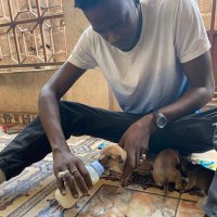 onjie1991 (@onjie1991) 's Twitter Profile