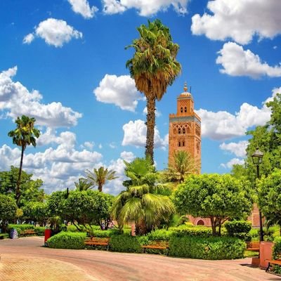 mahomaroc's profile picture. 