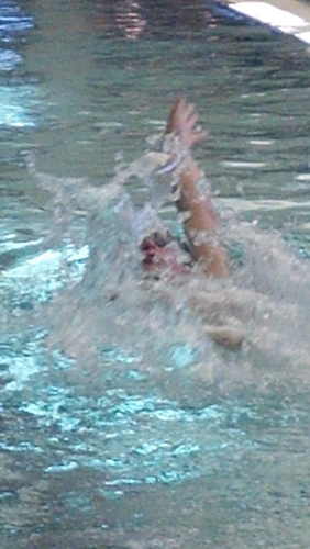 bandersnatchmm's profile picture. 