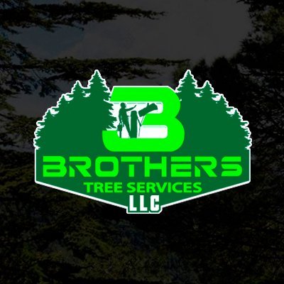 3 Brothers Tree Services LLC is here to solve all your tree care needs with our professional tree services in Ellijay, GA.