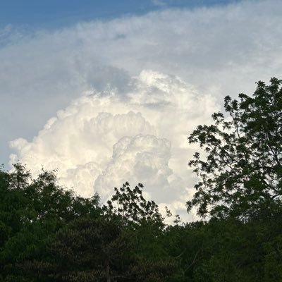 vaughan_storms's profile picture. 