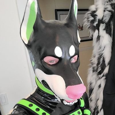 CreamFilledPup Profile Picture