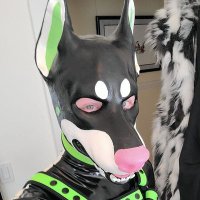 Pup Oreo 🔜 FWA(@CreamFilledPup) 's Twitter Profile Photo