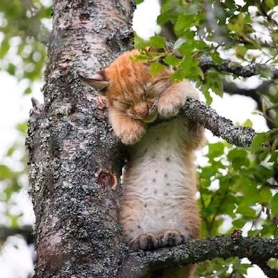 imaculatemhayha's profile picture. 👸mass communicator🎧🎙️|| a Taurus ♉♉|| bomb pastry chef🍞🧇|| lover of books📕|| music🎶||  movies...💽.