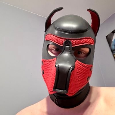 🔞🏳️‍🌈| 20-somethings submissive beta, horny all the time.… Anyone up for obideance training? 👅🐶 Friends + Chats + Relationships 🦴🎾 TG: KSDPPROD