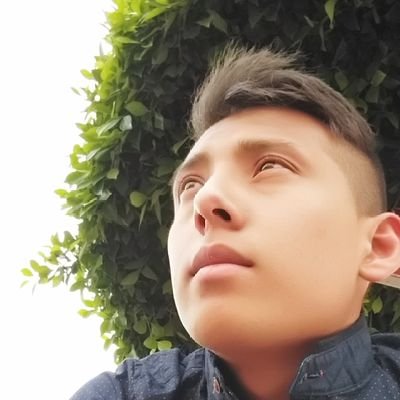 WillianPBI1's profile picture. figura pública
PBI