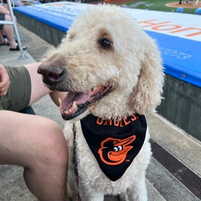 Orioles1Scott's profile picture. 