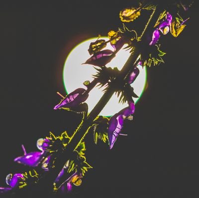 tiagotiagotitit's profile picture. Ciclista 🚴‍♂️
Colecionador de momentos 📸
Metamorfose ambulante 👽
Taurino 01/05/95 ♉